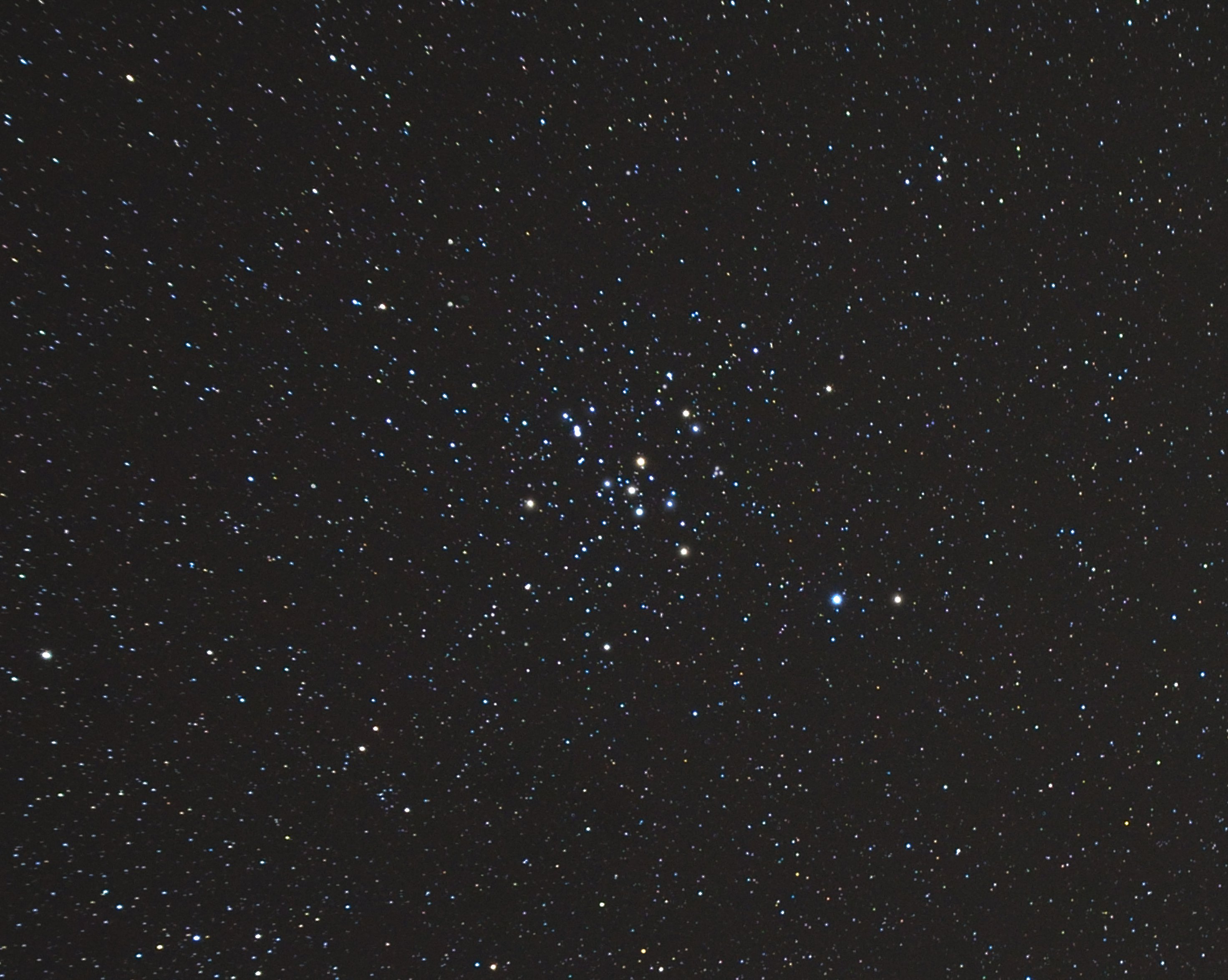 M41 PICCOLO ALVEARE